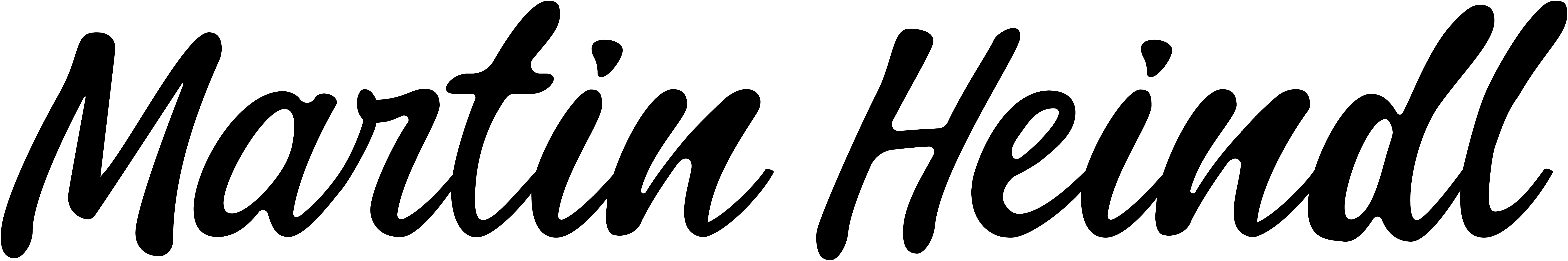 Martin Heindl Logo in Schrift